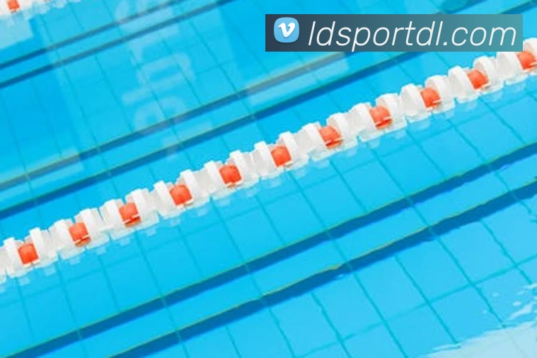 乐动体育APP 体育赛事宣传图